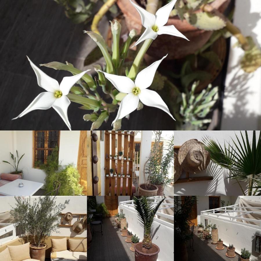 Gasthof Safina 3*